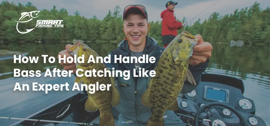 How To Hold And Handle Bass After Catching Like An Expert Angler