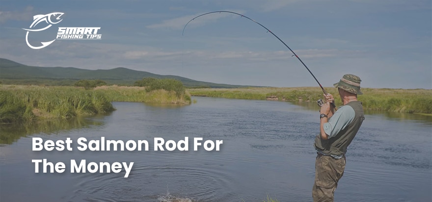 Best Salmon Rod For The Money