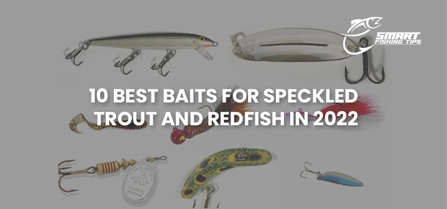 Best Baits For Speckled Trout And Redfish