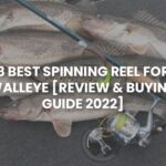 Best Spinning Reel for Walleye