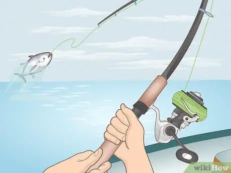 best fishing rod 2022