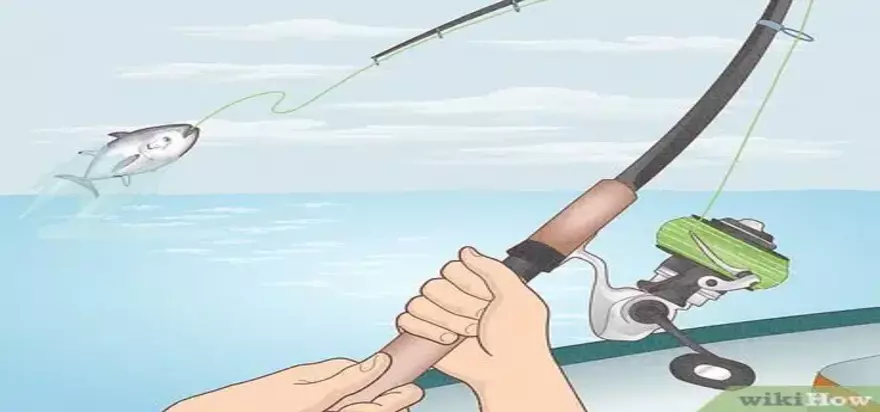 saltwater fishing tips