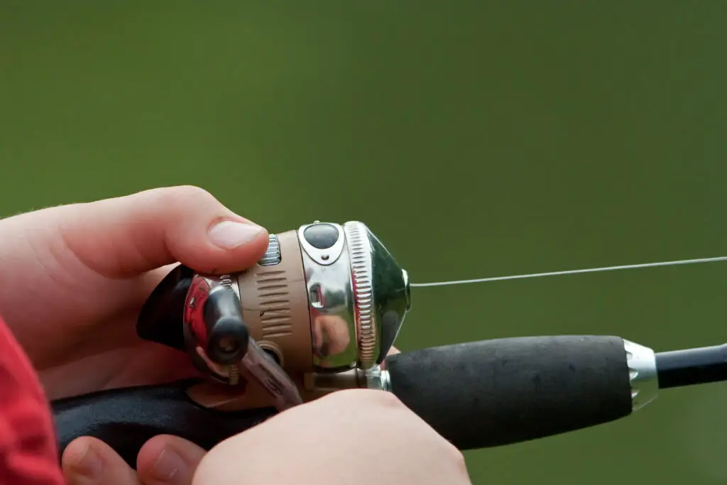 different reels for fishing