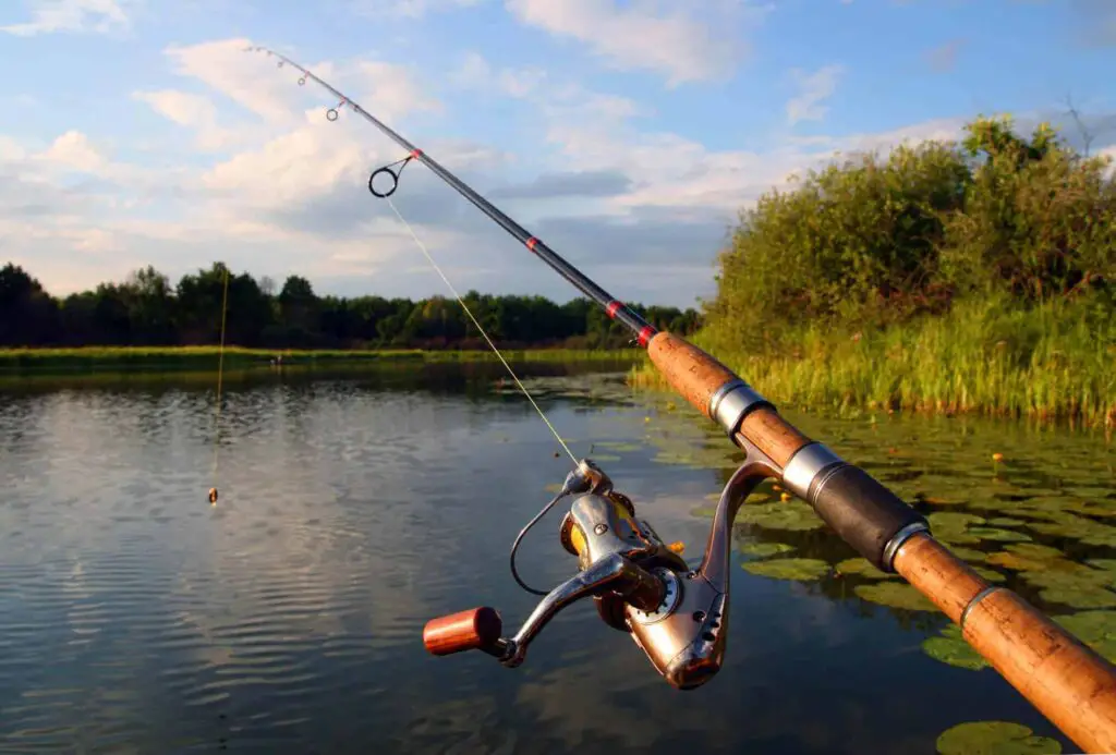 denali fishing rods