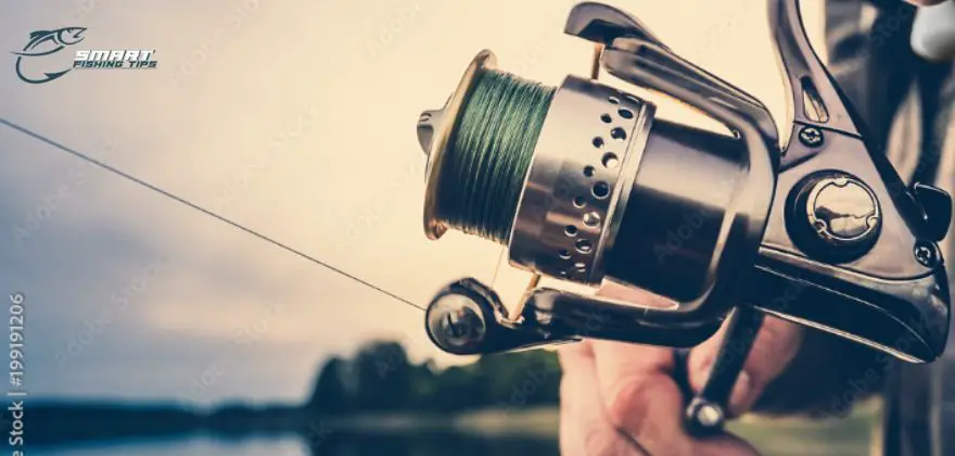 5 Best Saltwater Fishing