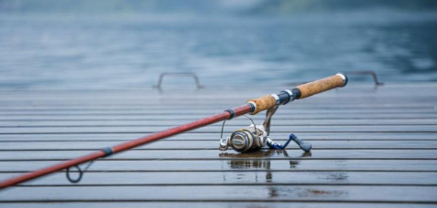 How to Store Fishing Rods: Tips for Proper Storage and Maintenance