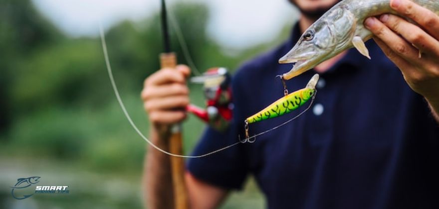 How Much Are Guided Fishing Trips?